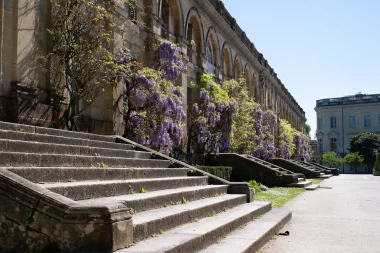 Jardin public de Bordeaux marches et glycines.